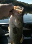 image 8 pound largemouth and 5 big spots 027.JPG